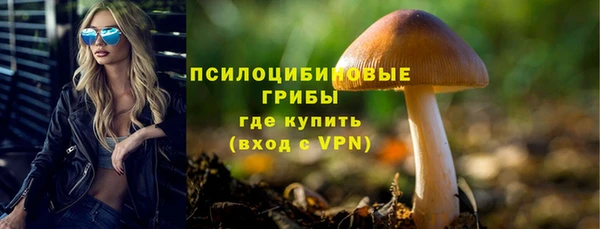 гидра Алзамай