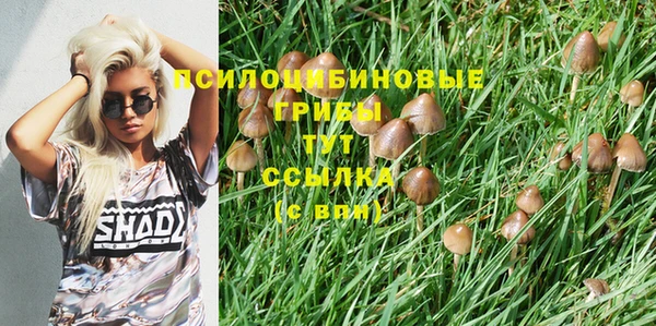 гидра Алзамай