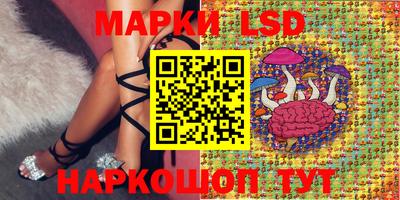 тгк Канаш