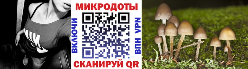 где купить наркоту  Ижевск  Псилоцибиновые грибы Psilocybine cubensis 