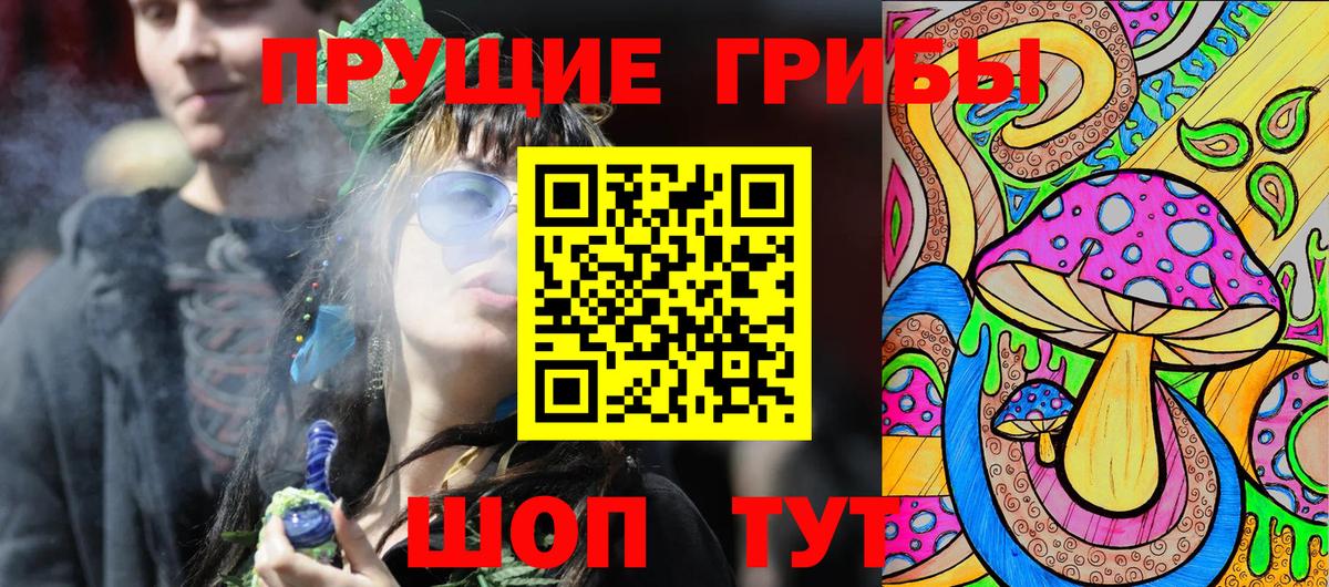 Ижевск  Галлюциногенные грибы Magic Shrooms  Галлюциногенные грибы прущие грибы  купить  цена  Вход с VPN 